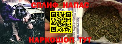 ешки Гай