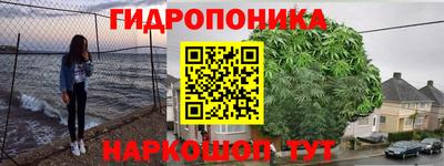 прущая мука Гатчина
