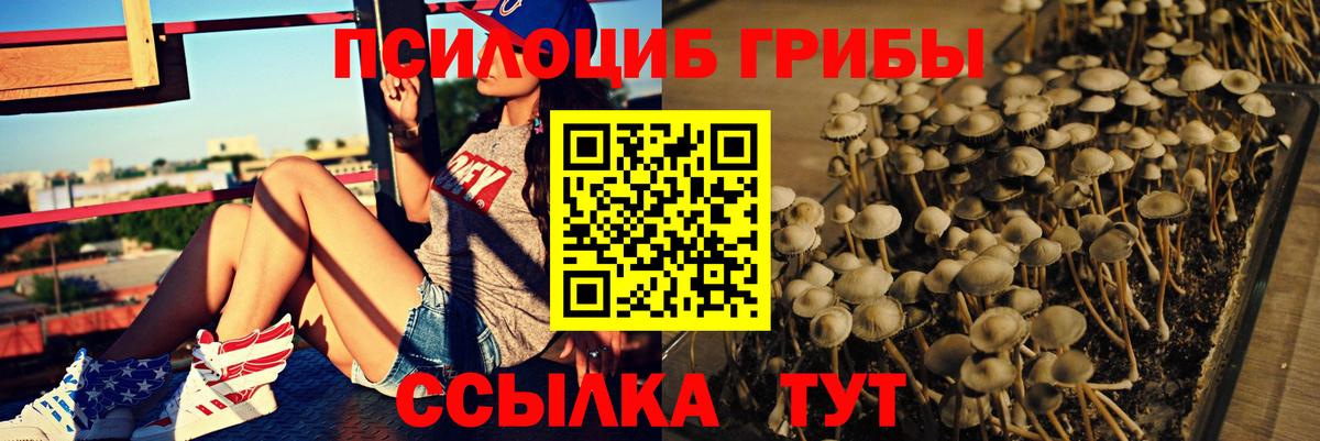 Галлюциногенные грибы мухоморы  Псилоцибиновые грибы Cubensis  Лыткарино  Вход с VPN 