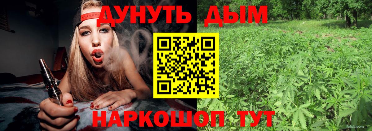 Канабис тримм  Вход с VPN  Каннабис THC 21%  Лыткарино 